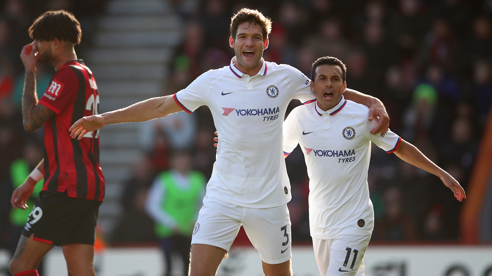 睹了天赋球 睹了天赋球